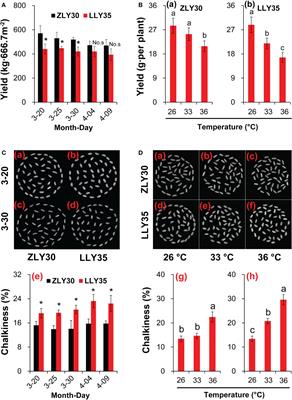 Increased ATPase activity promotes heat-resistance, high-yield, and high-quality traits in rice by improving energy status